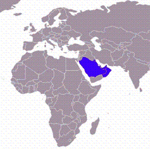 New Security Arrangements in the Persian Gulf