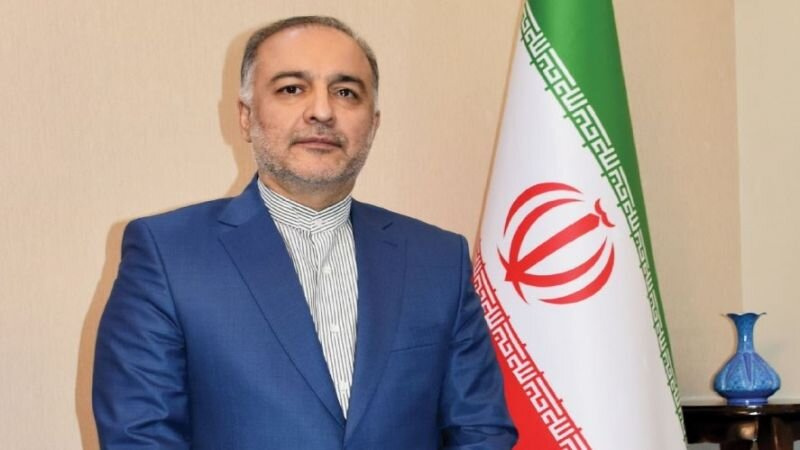 Iran-Syria cooperation continues at highest level: ambassador