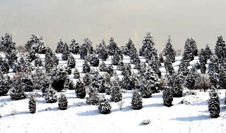 Tehran on a Snowy Day