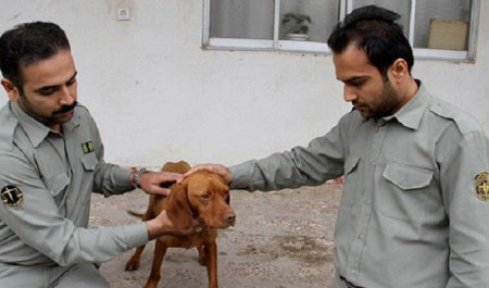 Animal Rights Activists Take to Street in Protest, Go Home with Promise of Better Future