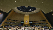 سازمان ملل، به سازمان دول خودخواه تغییر ماهیت داده است