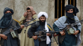 طالبان ناقض امنیت سیاسی شهروندان