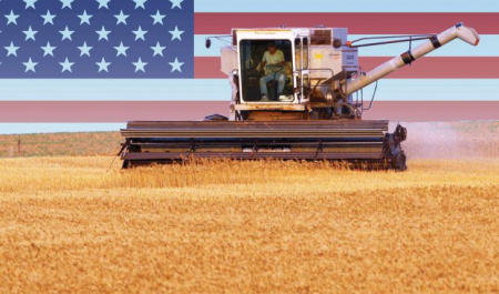 الگوی کشاورزی صنعتی امریکایی، بلای حیات زمین